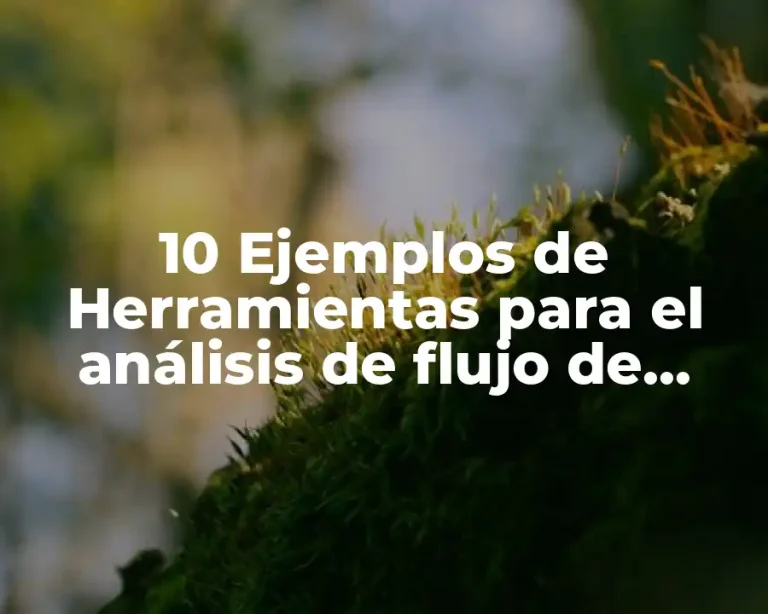 10 Ejemplos de Herramientas para el análisis de flujo de datos