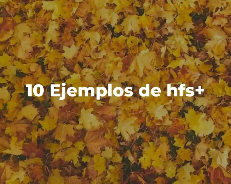 10 Ejemplos de hfs+