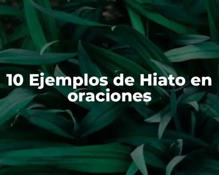 10 Ejemplos de Hiato en oraciones