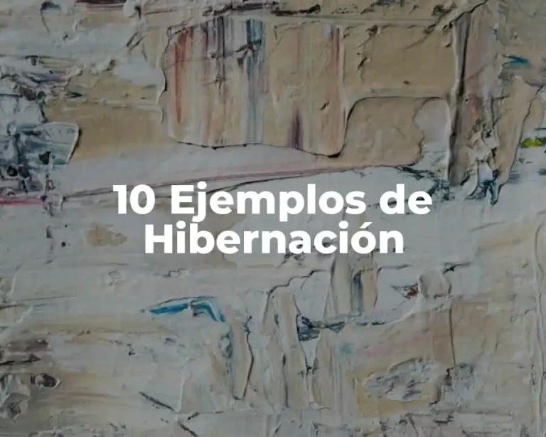 10 Ejemplos de Hibernación