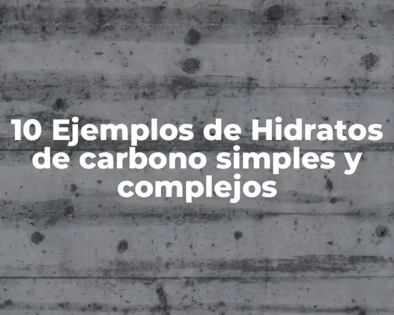 10 Ejemplos de Hidratos de carbono simples y complejos