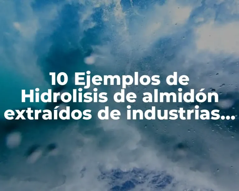 10 Ejemplos de Hidrolisis de almidón extraídos de industrias alimentarias