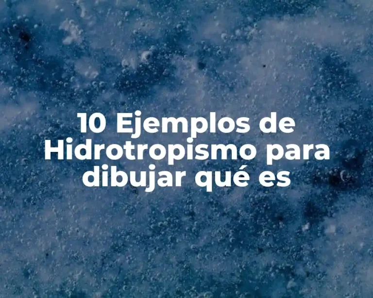 10 Ejemplos de Hidrotropismo para dibujar qué es