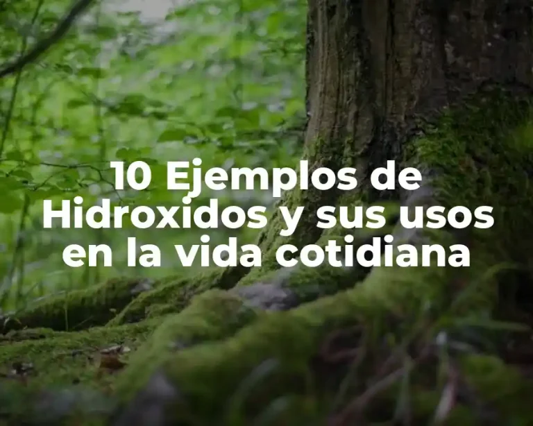 10 Ejemplos de Hidroxidos y sus usos en la vida cotidiana