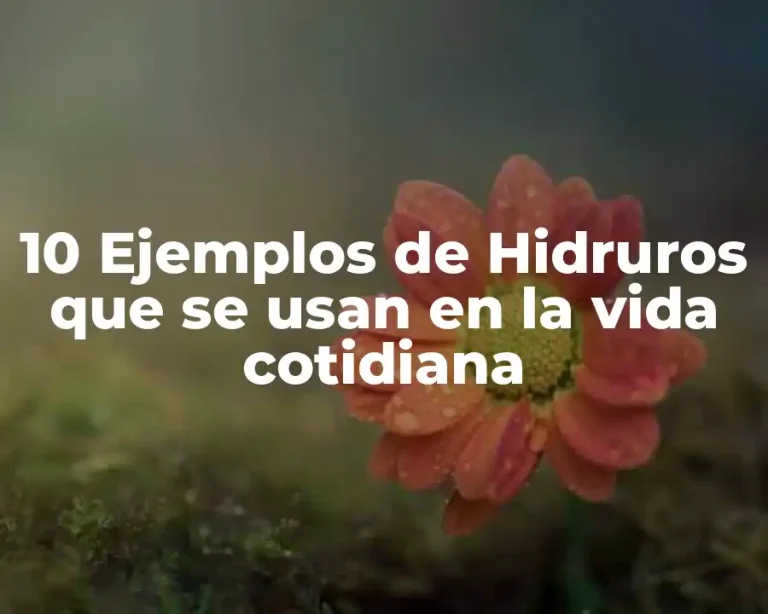 10 Ejemplos de Hidruros que se usan en la vida cotidiana