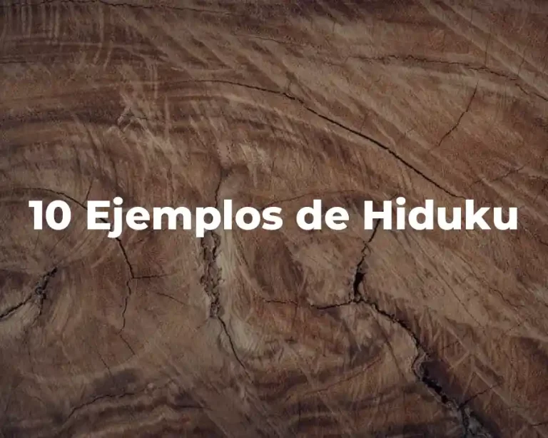 10 Ejemplos de Hiduku