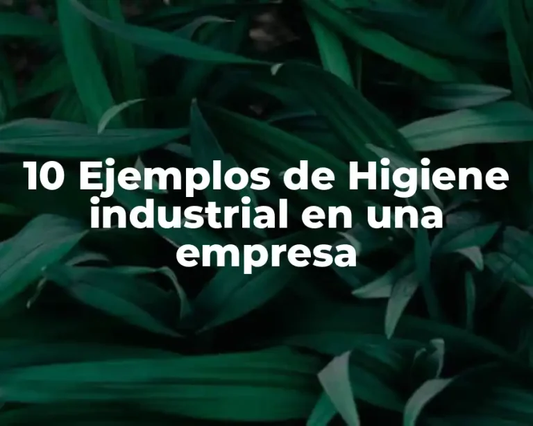 10 Ejemplos de Higiene industrial en una empresa