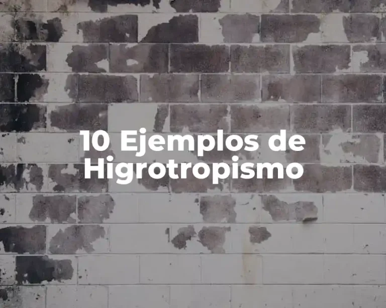 10 Ejemplos de Higrotropismo
