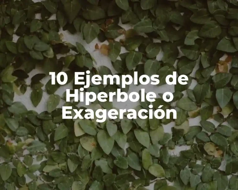 10 Ejemplos de Hiperbole o Exageración
