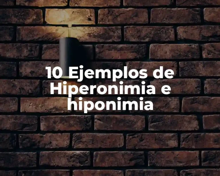 10 Ejemplos de Hiperonimia e hiponimia