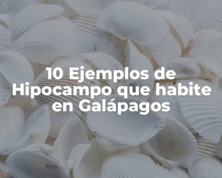 10 Ejemplos de Hipocampo que habite en Galápagos