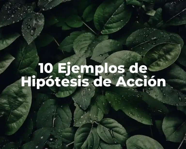 10 Ejemplos de Hipótesis de Acción
