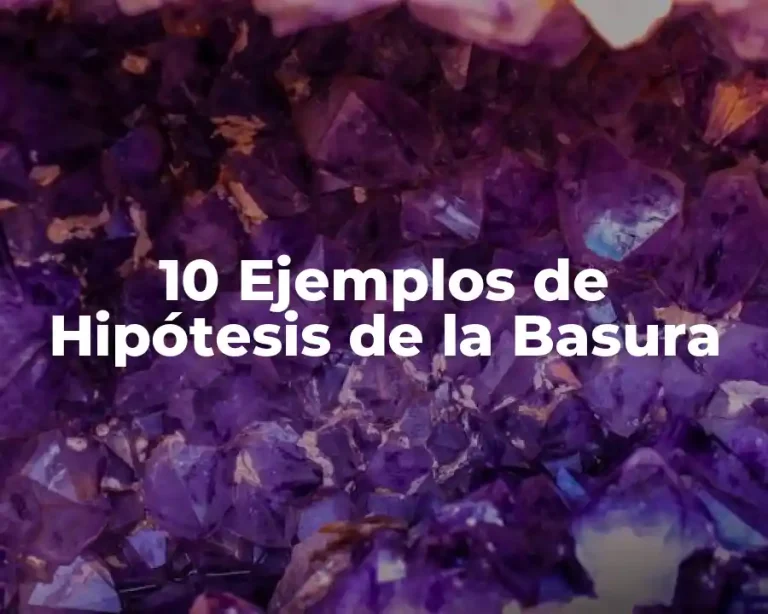 10 Ejemplos de Hipótesis de la Basura