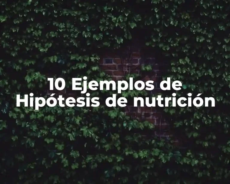 10 Ejemplos de Hipótesis de nutrición