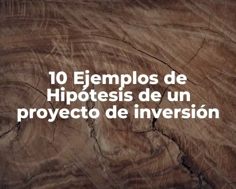 10 Ejemplos de Hipótesis de un proyecto de inversión