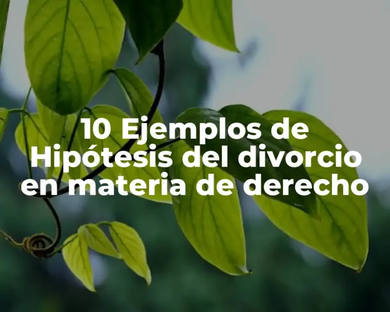 10 Ejemplos de Hipótesis del divorcio en materia de derecho