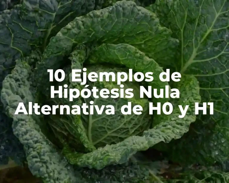 10 Ejemplos de Hipótesis Nula Alternativa de H0 y H1