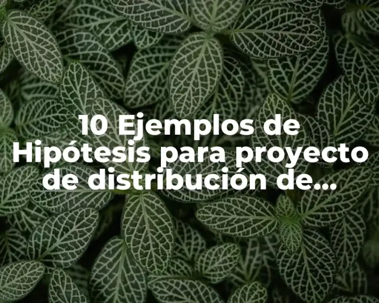 10 Ejemplos de Hipótesis para proyecto de distribución de planta