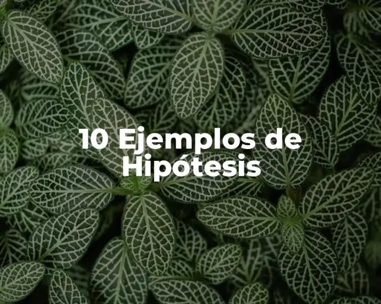 10 Ejemplos de Hipótesis