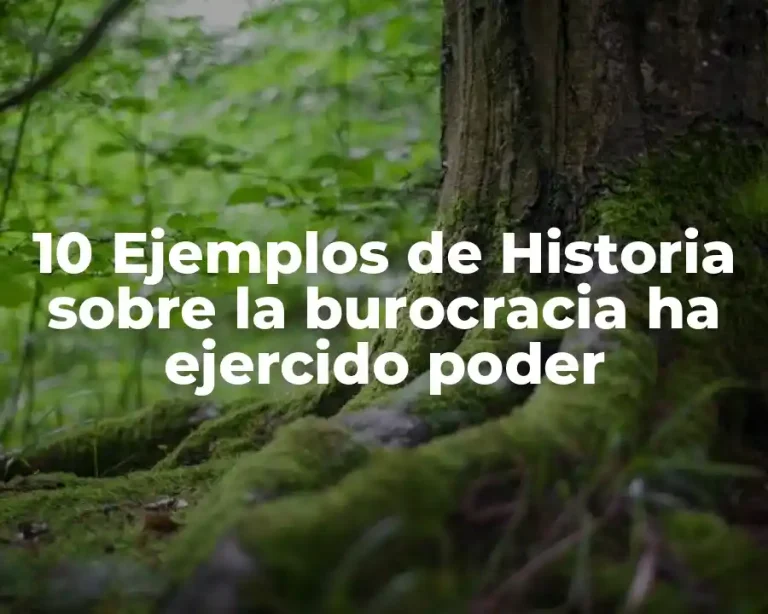 10 Ejemplos de Historia sobre la burocracia ha ejercido poder