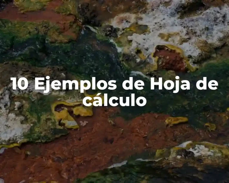 10 Ejemplos de Hoja de cálculo