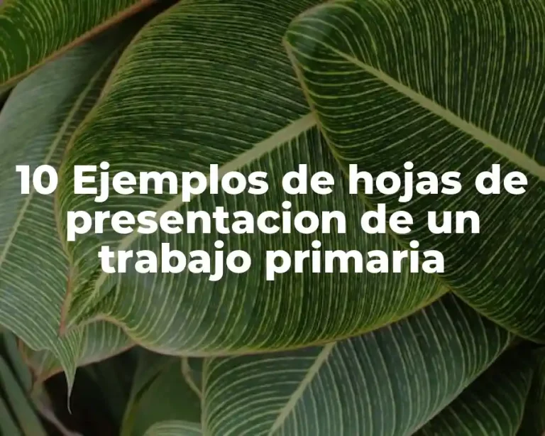 10 Ejemplos de hojas de presentacion de un trabajo primaria