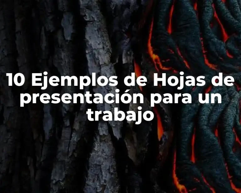 10 Ejemplos de Hojas de presentación para un trabajo