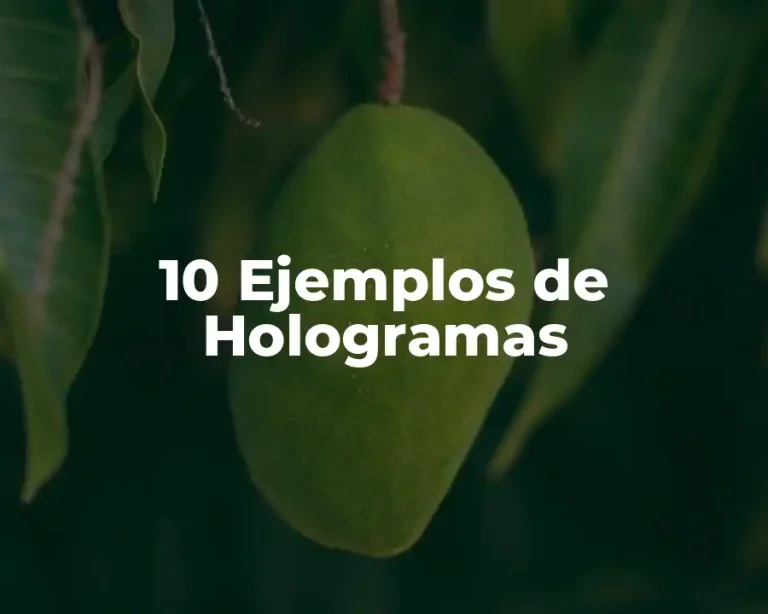 10 Ejemplos de Hologramas
