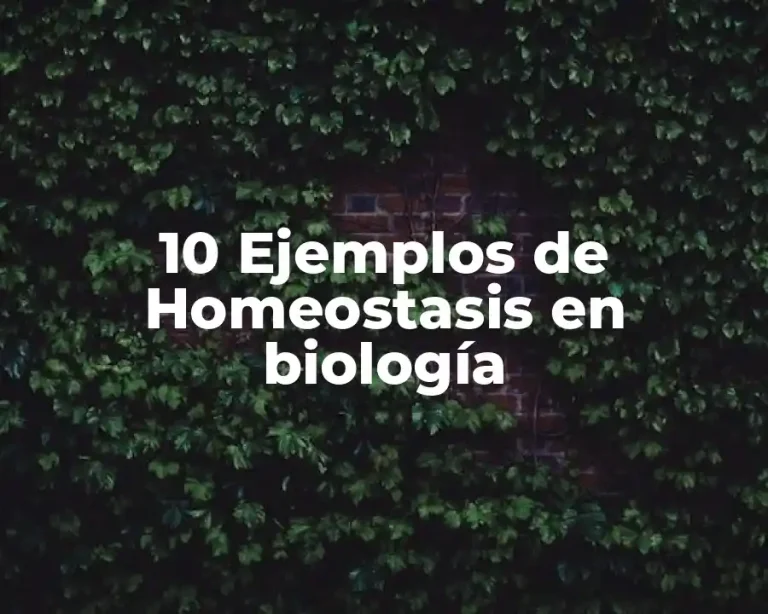 10 Ejemplos de Homeostasis en biología