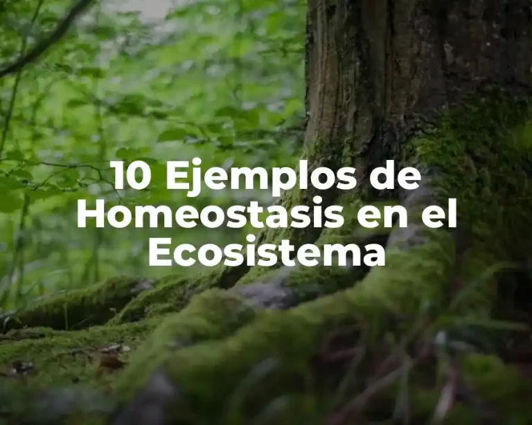 10 Ejemplos de Homeostasis en el Ecosistema