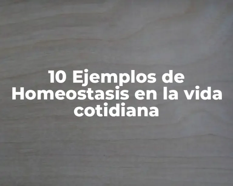 10 Ejemplos de Homeostasis en la vida cotidiana