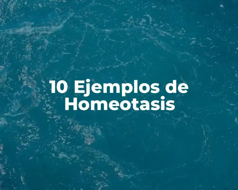 10 Ejemplos de Homeotasis