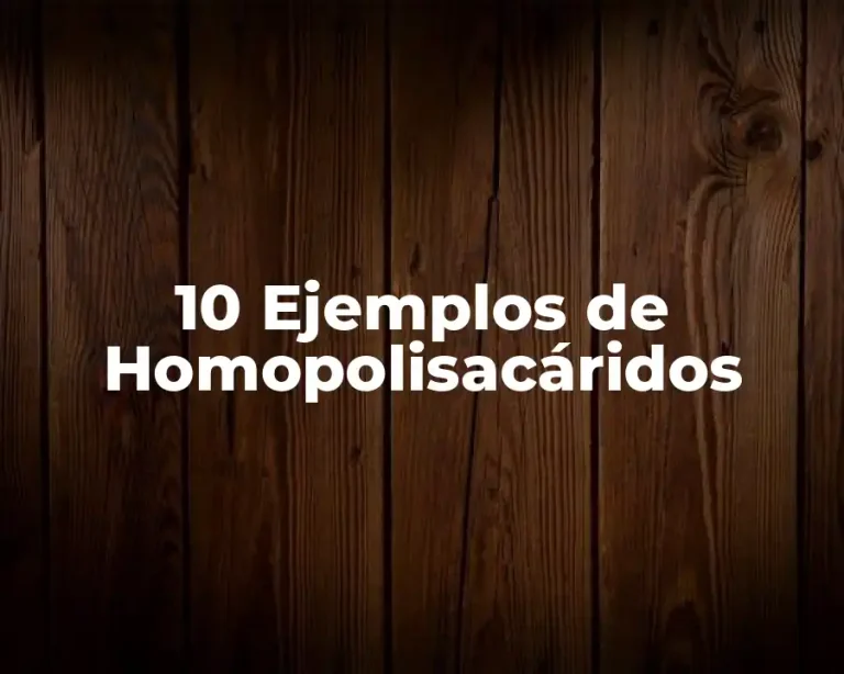 10 Ejemplos de Homopolisacáridos