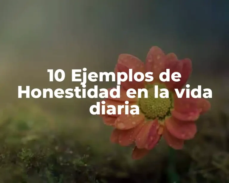 10 Ejemplos de Honestidad en la vida diaria