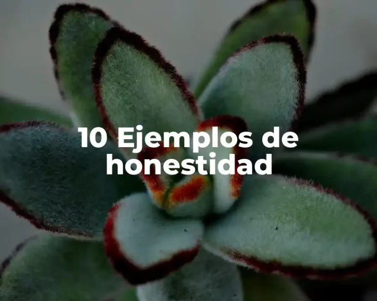 10 Ejemplos de honestidad