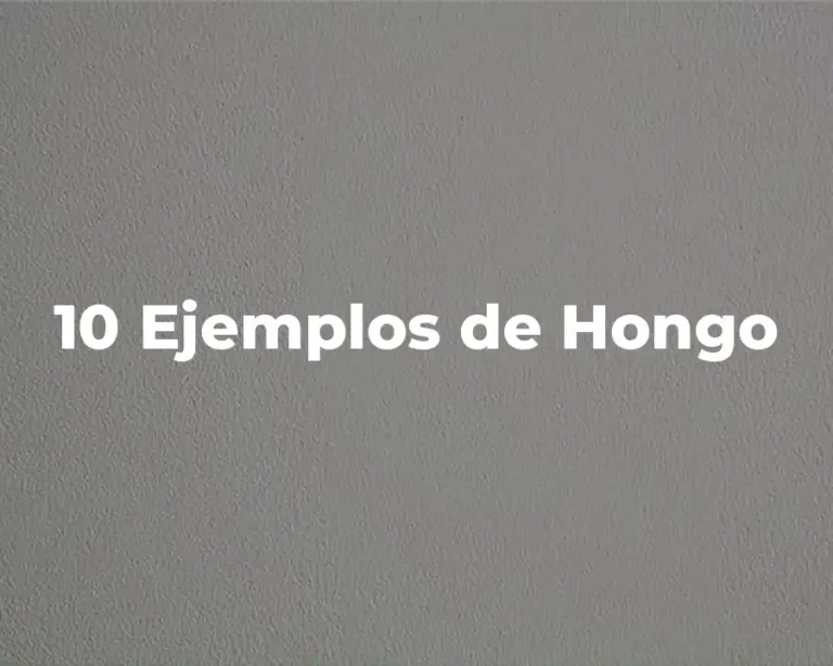 10 Ejemplos de Hongo