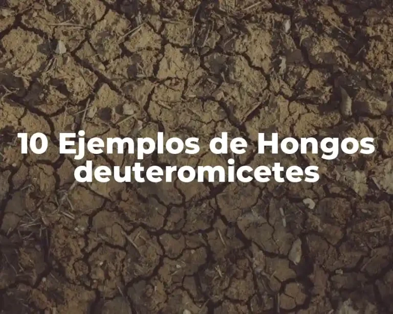 10 Ejemplos de Hongos deuteromicetes