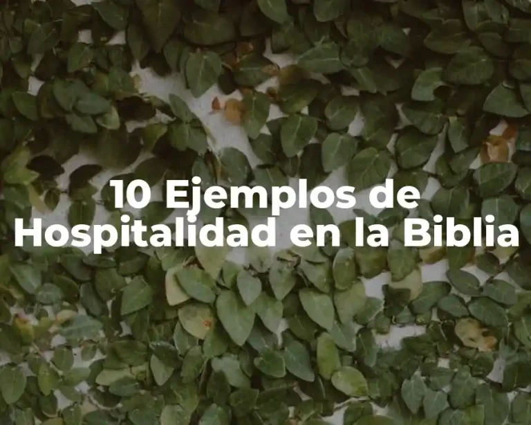 10 Ejemplos de Hospitalidad en la Biblia