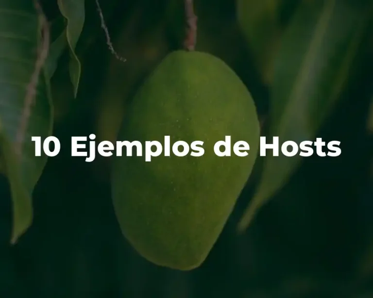 10 Ejemplos de Hosts