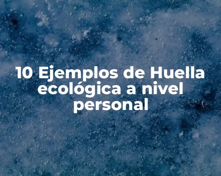 10 Ejemplos de Huella ecológica a nivel personal