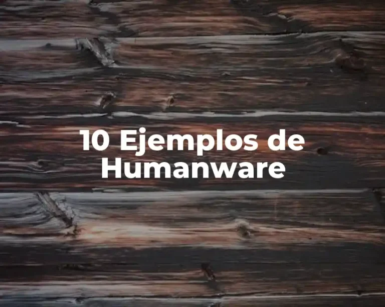 10 Ejemplos de Humanware