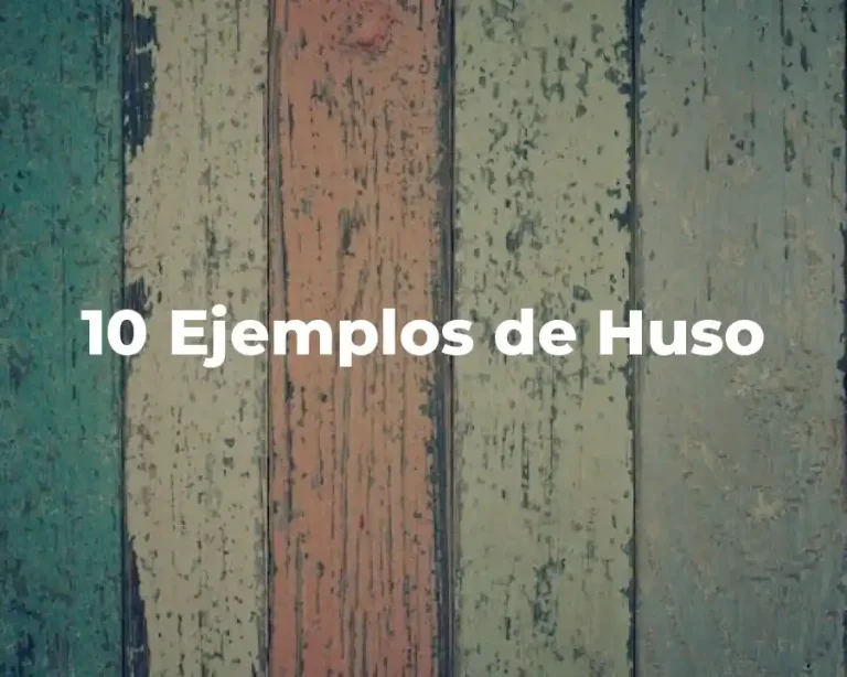 10 Ejemplos de Huso