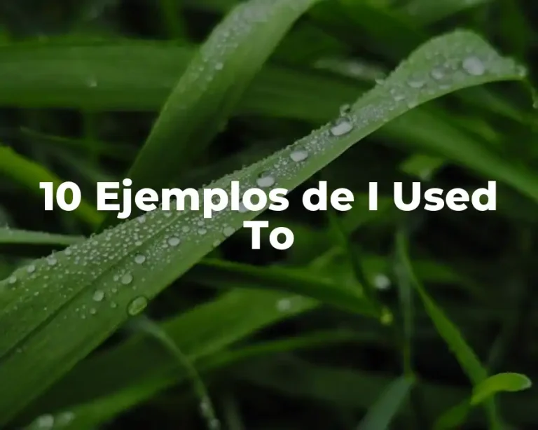 10 Ejemplos de I Used To
