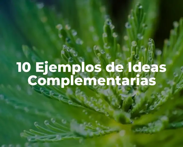 10 Ejemplos de Ideas Complementarias