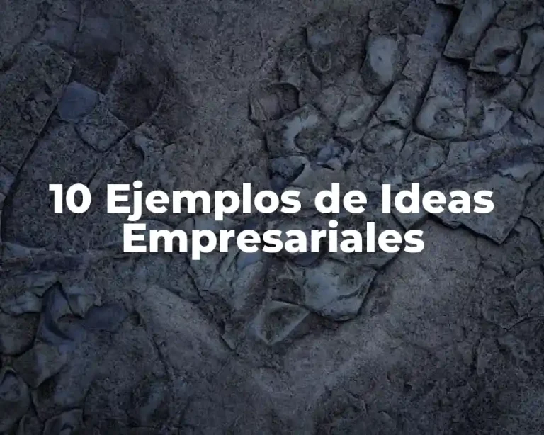 10 Ejemplos de Ideas Empresariales