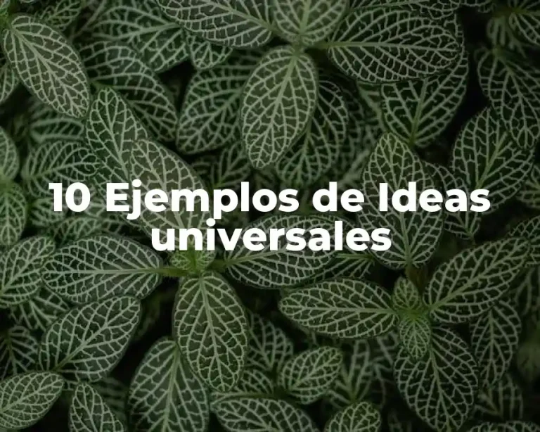 10 Ejemplos de Ideas universales