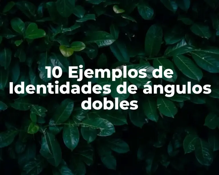 10 Ejemplos de Identidades de ángulos dobles