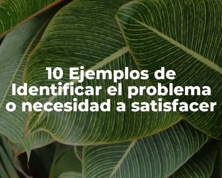 10 Ejemplos de Identificar el problema o necesidad a satisfacer