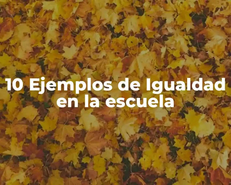 10 Ejemplos de Igualdad en la escuela