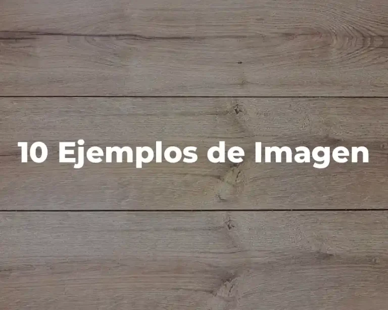 10 Ejemplos de Imagen
